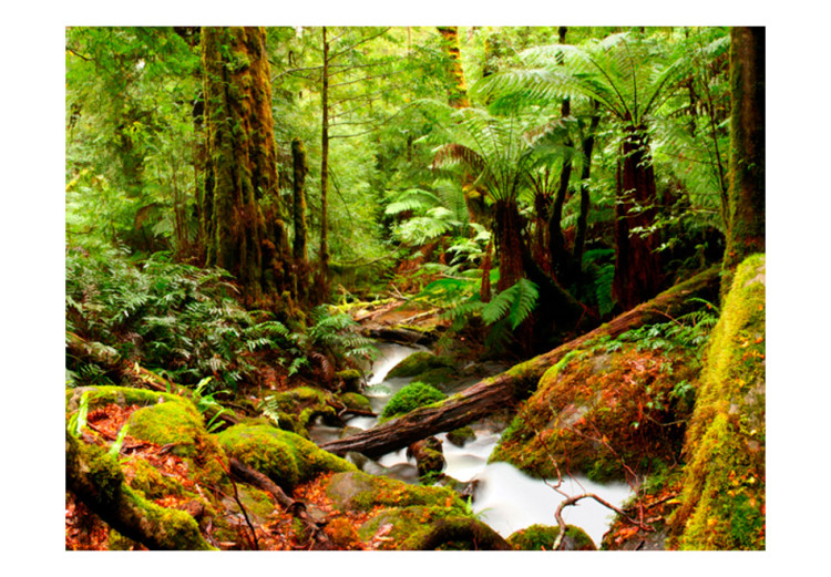 Wall Mural Rainforest 60511 additionalImage 1