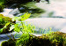 Canvas Trip to the Forest (1 Part) Wide 125021 additionalThumb 5
