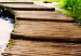 Canvas Trip to the Forest (1 Part) Wide 125021 additionalThumb 4