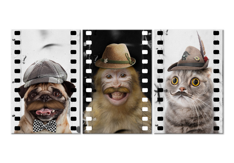 Canvas Funny Pets (Collection) 116831