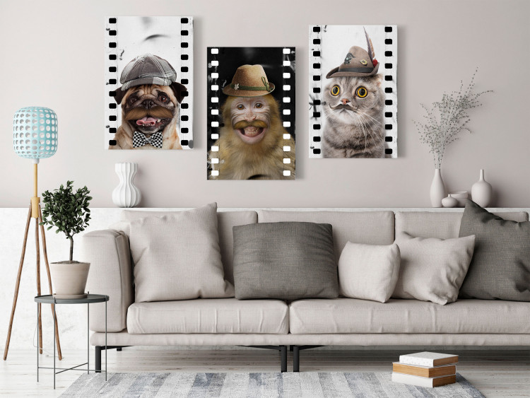 Canvas Funny Pets (Collection) 116831 additionalImage 3
