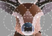 Canvas Deer in Circles (1 Part) Vertical 126931 additionalThumb 5