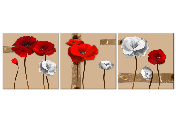 Canvas White and red poppies - triptych with flowers on a brown background 128831