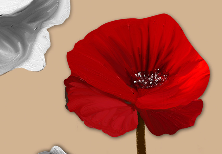 Canvas White and red poppies - triptych with flowers on a brown background 128831 additionalImage 4