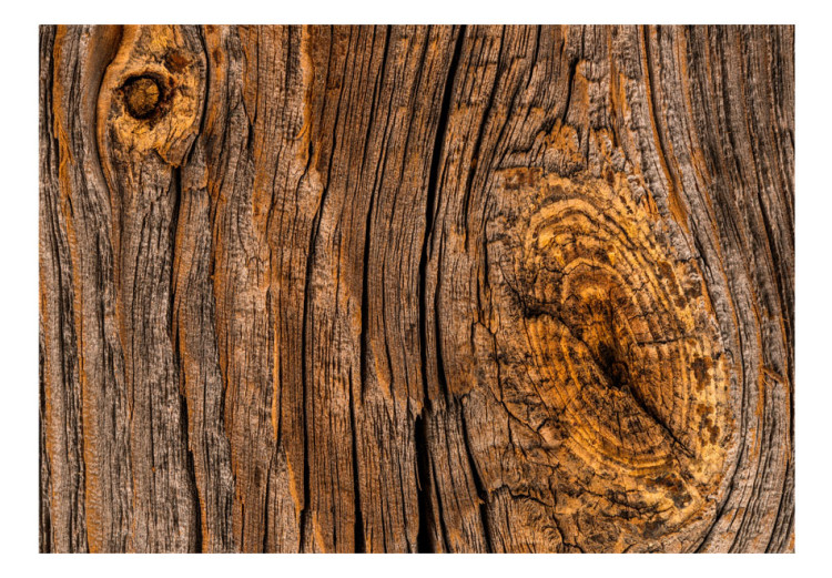 Wall Mural Old tree - brown background with texture of rough bark with irregularities 91631 additionalImage 1
