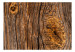 Wall Mural Old tree - brown background with texture of rough bark with irregularities 91631 additionalThumb 1