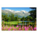 Poster Spring in the Alps - spring landscape of green trees against a lake 126251