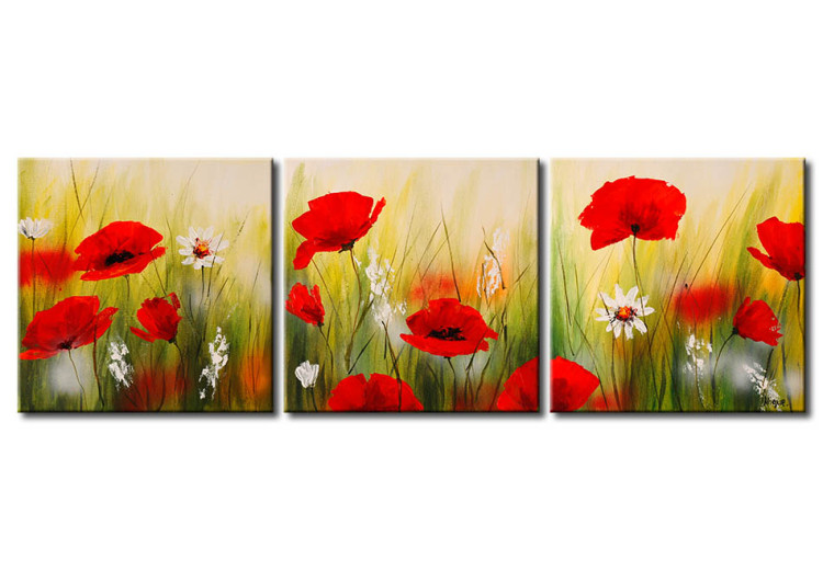 Canvas Poppies and Daisies (3-piece) - Colourful meadow of flowers with a dew effect 48651