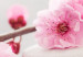 Canvas Zen: Cherry Blossoms II 97971 additionalThumb 5