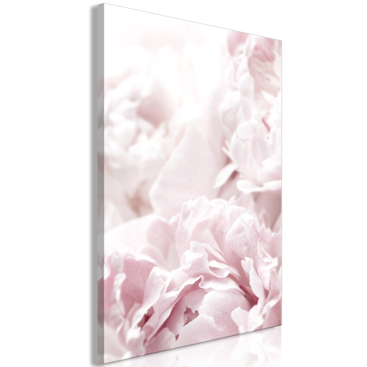 Canvas Beauty of Nature (1-part) - Peony Flowers in Shades of Pink 114981 additionalImage 2