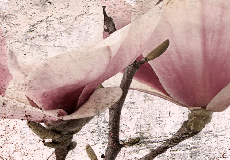 Canvas Floral Texture of Rose (3-part) - Magnolias in Rustic Nature 122781 additionalImage 5