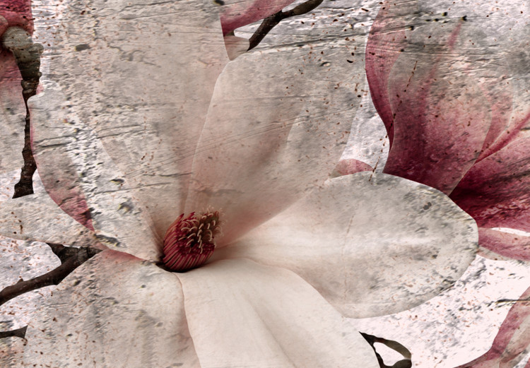 Canvas Floral Texture of Rose (3-part) - Magnolias in Rustic Nature 122781 additionalImage 4