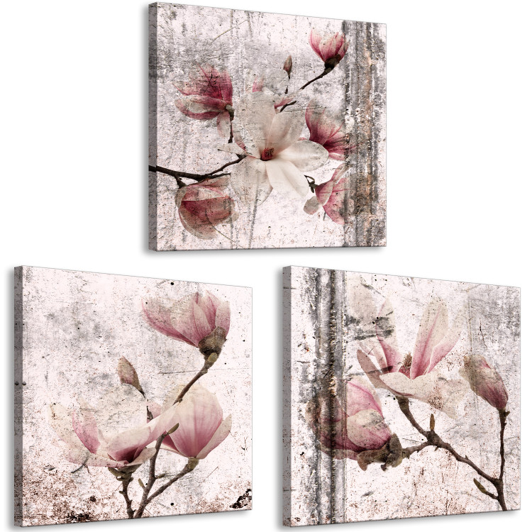 Canvas Floral Texture of Rose (3-part) - Magnolias in Rustic Nature 122781 additionalImage 2