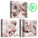 Canvas Floral Texture of Rose (3-part) - Magnolias in Rustic Nature 122781 additionalThumb 6