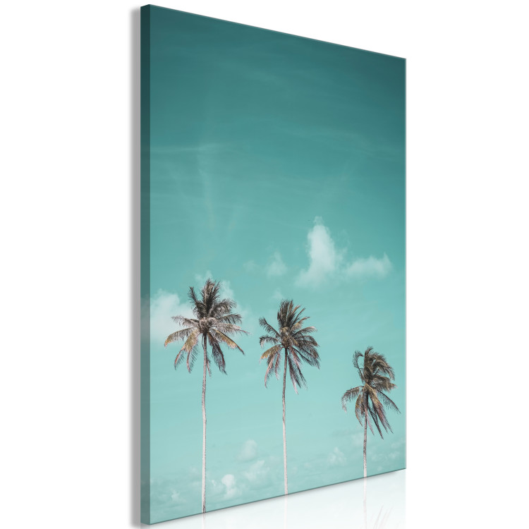 Canvas Three palms - Image of three trees on a blue sky 135281 additionalImage 2