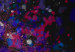 Canvas Colorful cosmos - Abstraction inspired by photos of galaxies 135681 additionalThumb 4