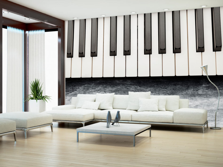 Wall Mural Inspired by Chopin - grey stone 61381