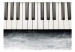 Wall Mural Inspired by Chopin - grey stone 61381 additionalThumb 1