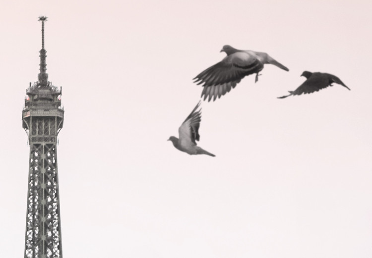 Canvas Birds over the city - black-white photo with Eiffel Tower in offset 132291 additionalImage 5
