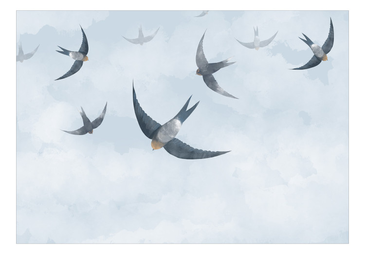 Wall Mural Birds in flight - animals on a background of calm sky in shades of blue 143791 additionalImage 1