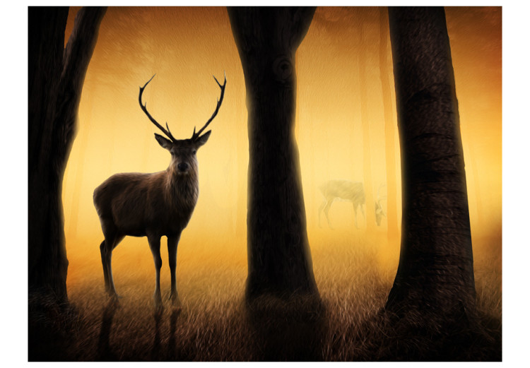 Wall Mural Forest Nature - Deer with antlers in the forest early in the morning with trees 61312 additionalImage 1