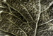 Poster Oak Leaf - botanical abstraction in waves and leaves on a silver background 120832 additionalThumb 9