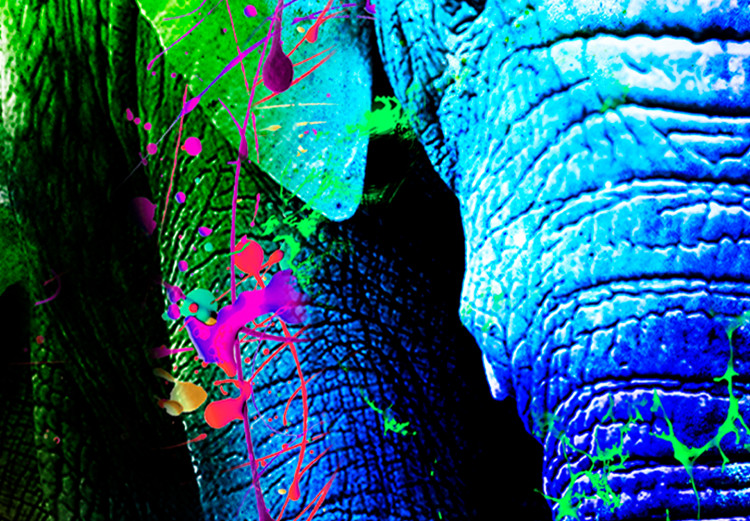 Large Canvas Colorful Elephants [Large Format] 136432 additionalImage 3