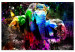 Large Canvas Colorful Elephants [Large Format] 136432