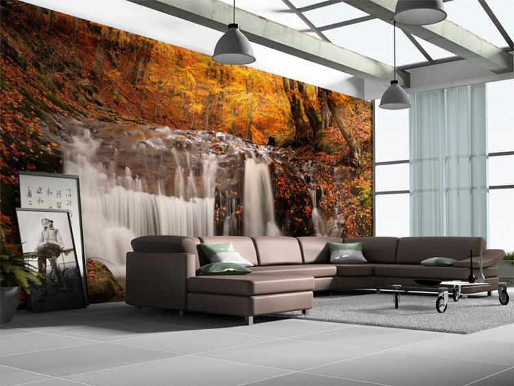 Wall Mural Autumn landscape: waterfall in forest 60032