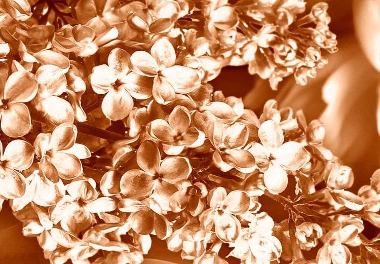 Canvas Autumn flowers in sepia - monochrome photo with a bouquet of flowers 123842 additionalImage 5
