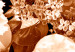 Canvas Autumn flowers in sepia - monochrome photo with a bouquet of flowers 123842 additionalThumb 4