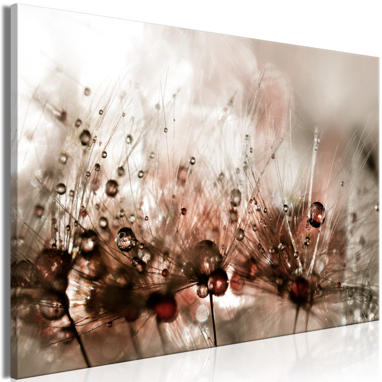 Large Canvas Dandelions After Rain [Large Format] 136352 additionalImage 2