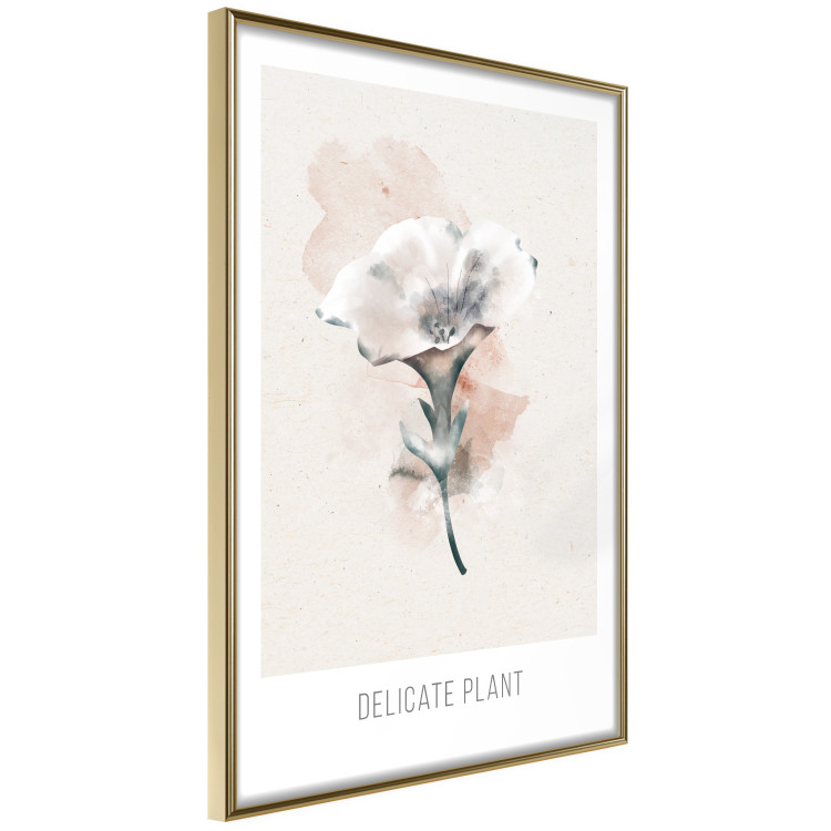 Poster Delicate Plant [Poster] 142562 additionalImage 16
