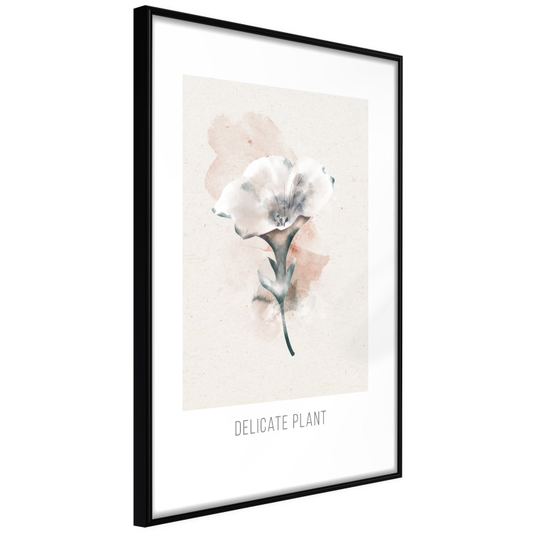 Poster Delicate Plant [Poster] 142562 additionalImage 19