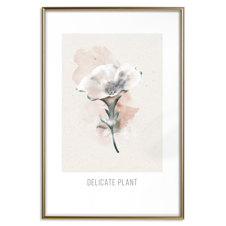 Poster Delicate Plant [Poster] 142562 additionalImage 11