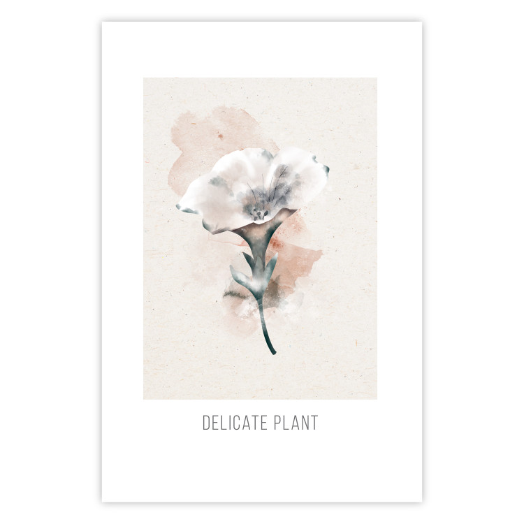 Poster Delicate Plant [Poster] 142562 additionalImage 9