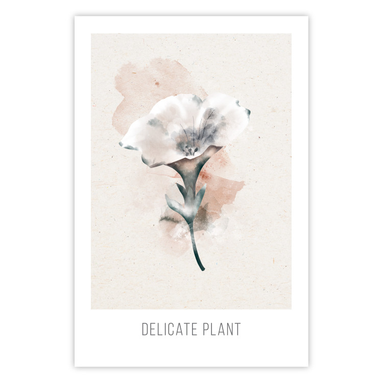 Poster Delicate Plant [Poster] 142562
