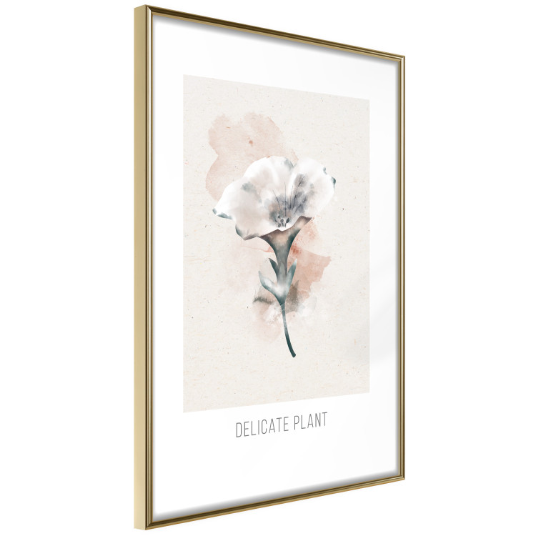 Poster Delicate Plant [Poster] 142562 additionalImage 17