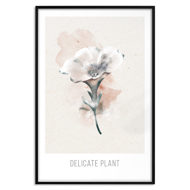 Poster Delicate Plant [Poster] 142562 additionalImage 7