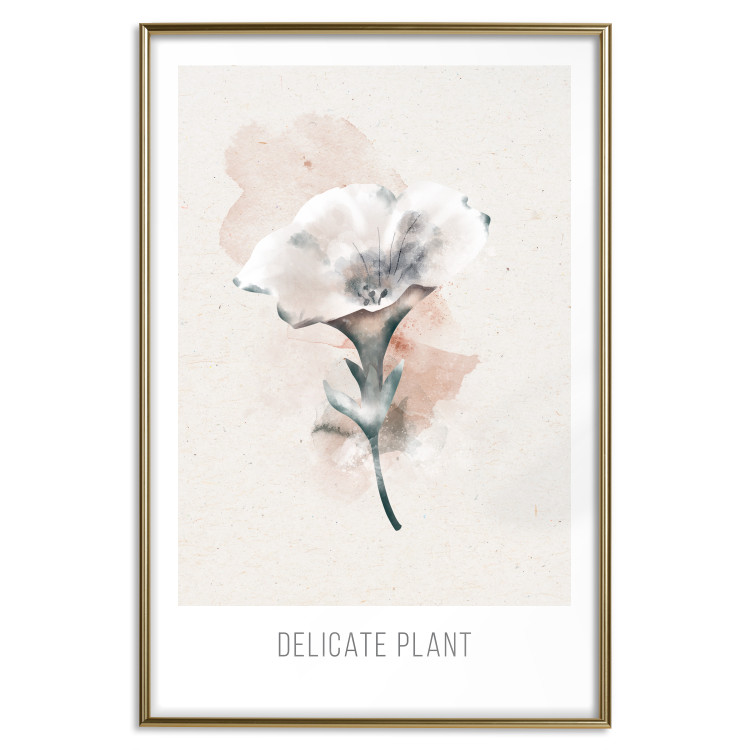 Poster Delicate Plant [Poster] 142562 additionalImage 13