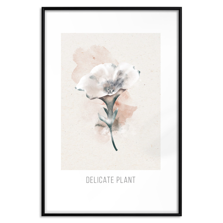 Poster Delicate Plant [Poster] 142562 additionalImage 10