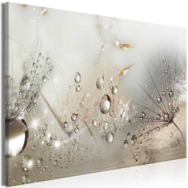Canvas Summer in Beige Shades (1-part) - Drops of Nature on a Dandelion 114972 additionalImage 2