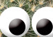 Canvas Cactus With Eyes (1 Part) Vertical 116872 additionalThumb 4