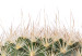 Canvas Cactus With Eyes (1 Part) Vertical 116872 additionalThumb 5