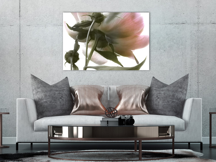Canvas Peony Elegance (1-part) - Blooming and Delicate Flower Nature 122672 additionalImage 3