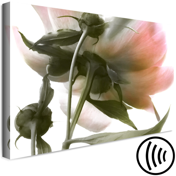Canvas Peony Elegance (1-part) - Blooming and Delicate Flower Nature 122672 additionalImage 6
