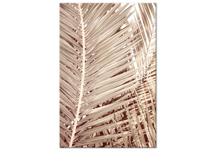 Canvas Dried palm - sharp, dry palm leaves on a white background 135272