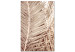 Canvas Dried palm - sharp, dry palm leaves on a white background 135272