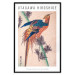 Poster Pheasant and Pine 142472 additionalThumb 2