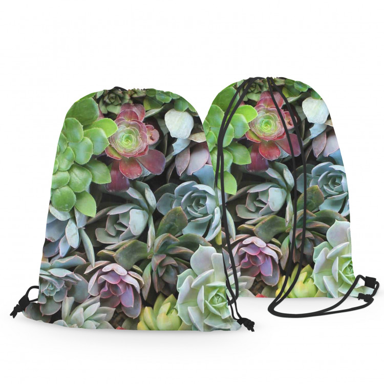 Backpack Variety of succulents - a plant composition with rich detailing 147572 additionalImage 3